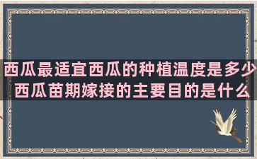 西瓜最适宜西瓜的种植温度是多少 西瓜苗期嫁接的主要目的是什么